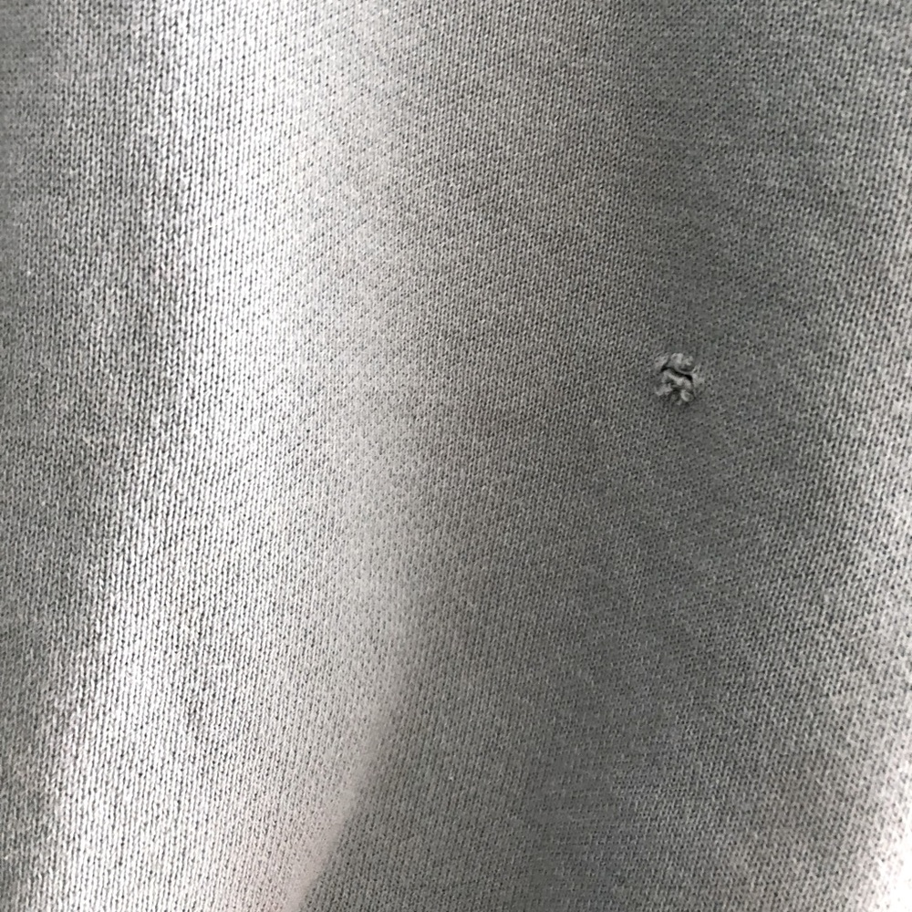 Wilfred Free Cropped Hoodie - Picture 5 of 5